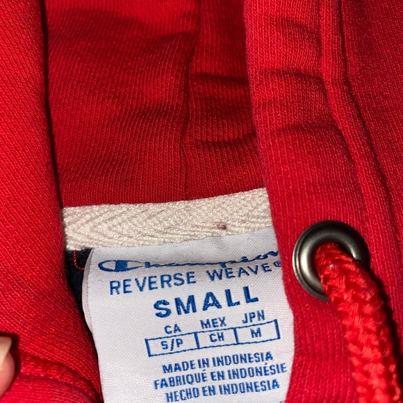 Cropped Champion Sweatshirt - Picture 2 of 2